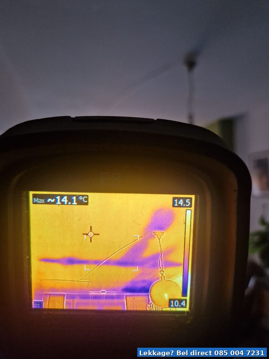 FLIR thermografie warmtebeeld plafond lekkage