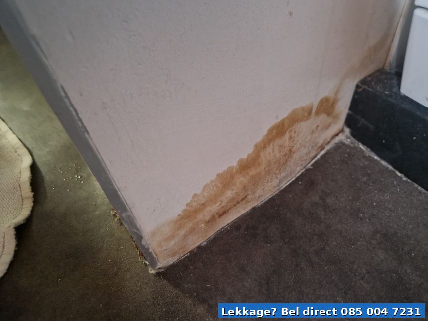 Vochtplek muur lekdetectie