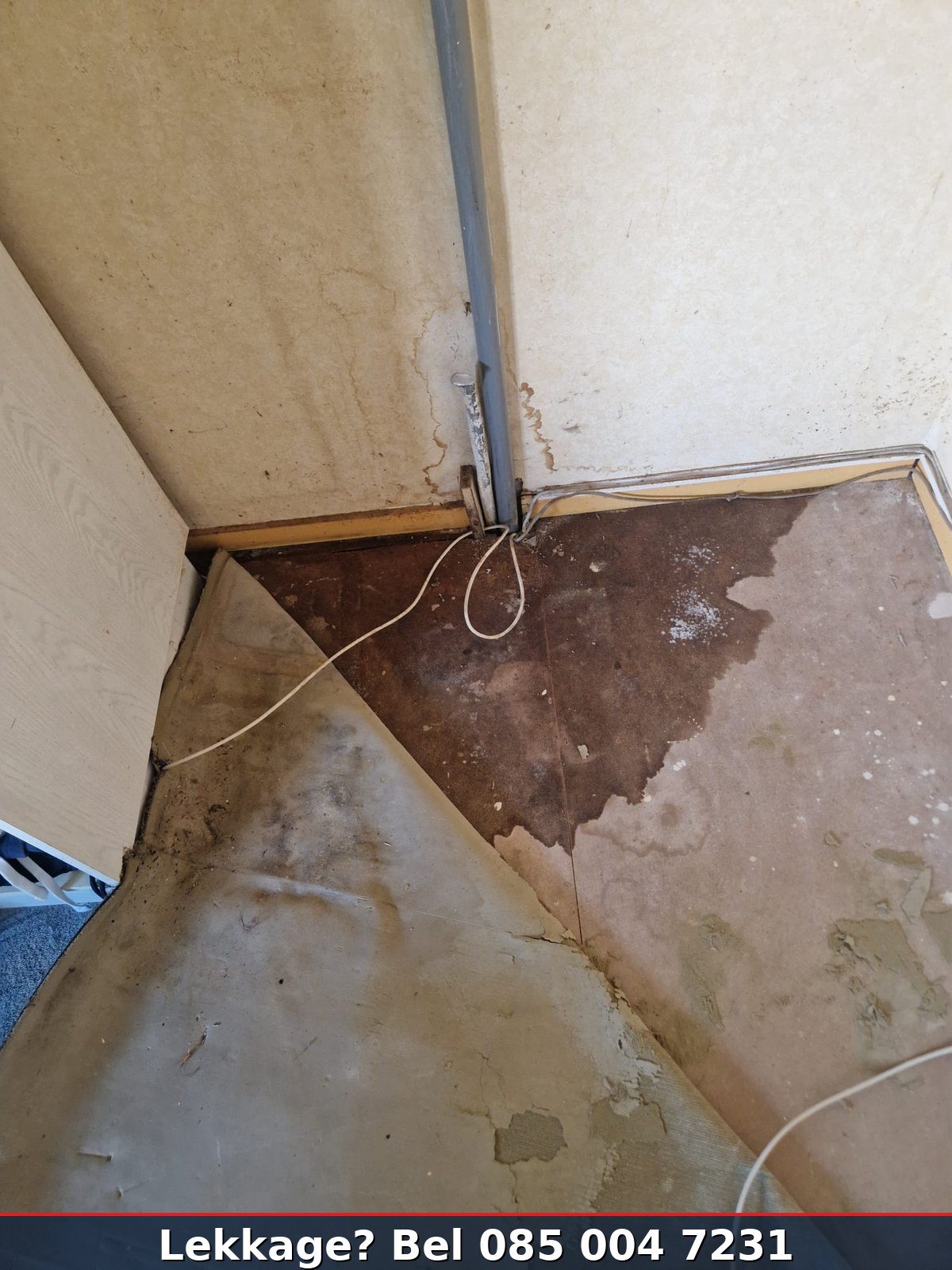 Ernstige waterschade — nat tapijt losgetrokken toont doorweekte ondervloer door lekkage waterleiding