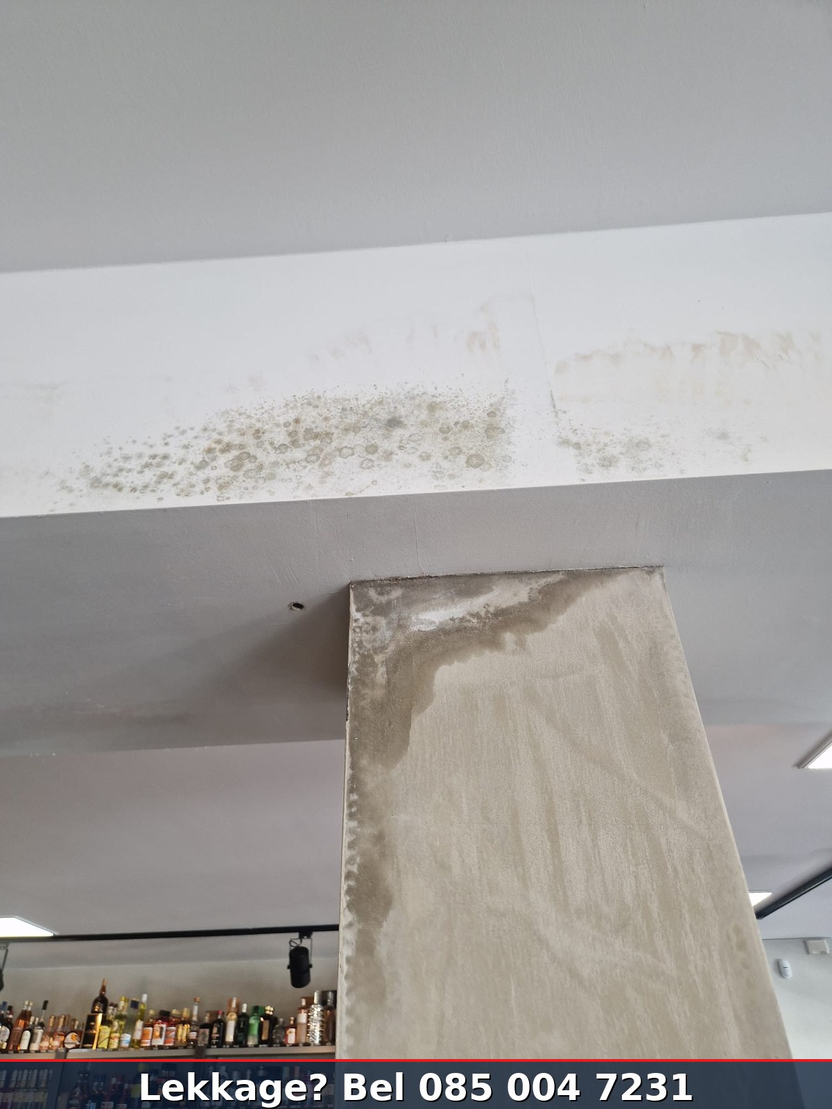 Schimmelvorming op plafond horecagelegenheid door langdurige lekkage — waterschade restaurant