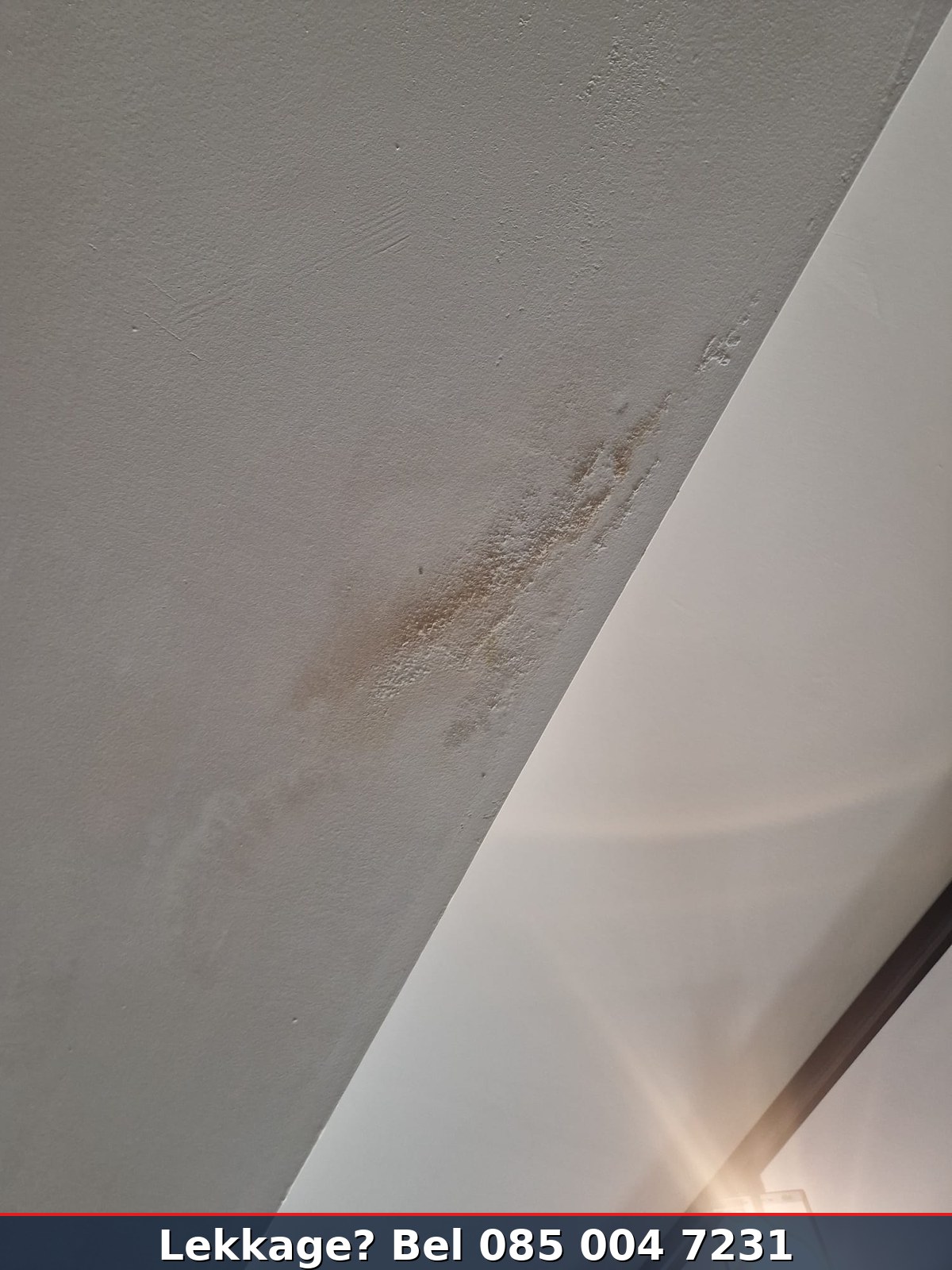 Bruine vochtplek op plafond woning bij hoek muur — waterleiding lek of daklekkage detectie nodig